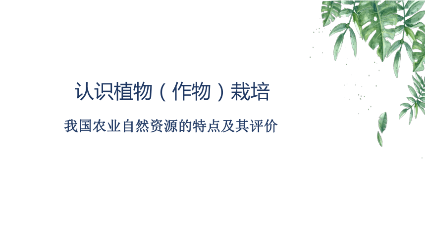 1.1.3我国农业自然资源的特点及其评价 课件(共17张PPT)-《作物生产技术》同步教学（中国农业出版社）