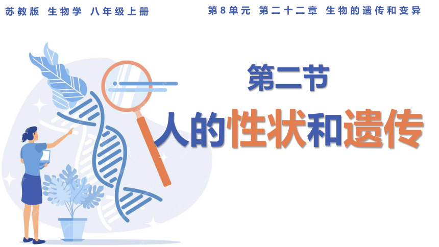 8.22.2人的性状和遗传课件(共33张PPT) 苏教版生物八年级下册