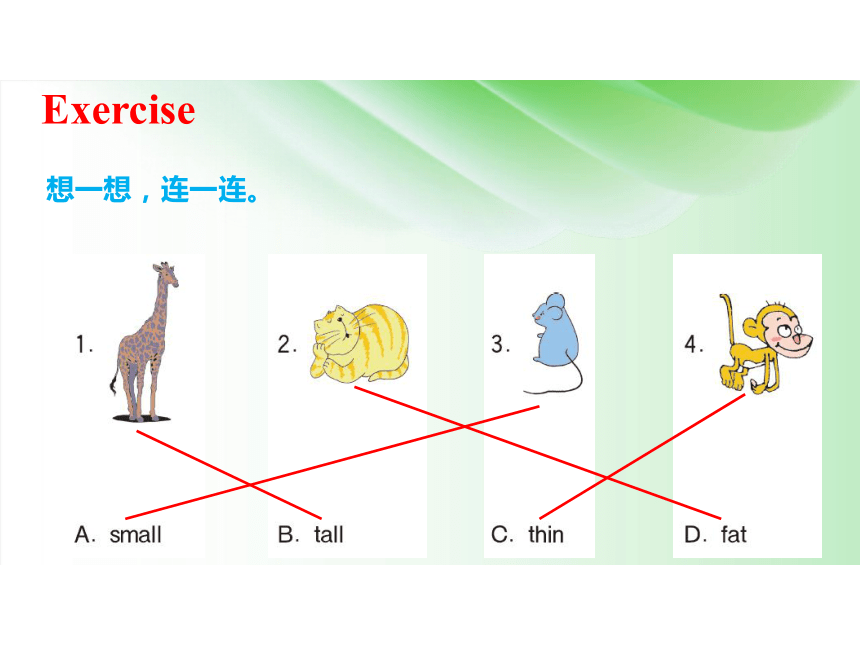 Unit 3 At the zoo Part A 课件(共35张PPT)