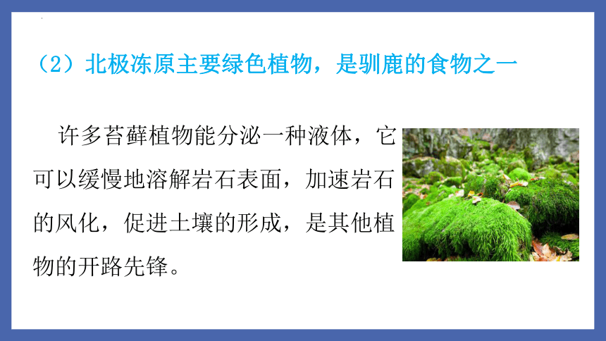 7.22.3植物的主要类群（第1课时）课件 (共16张PPT)北师大版生物八年级下册
