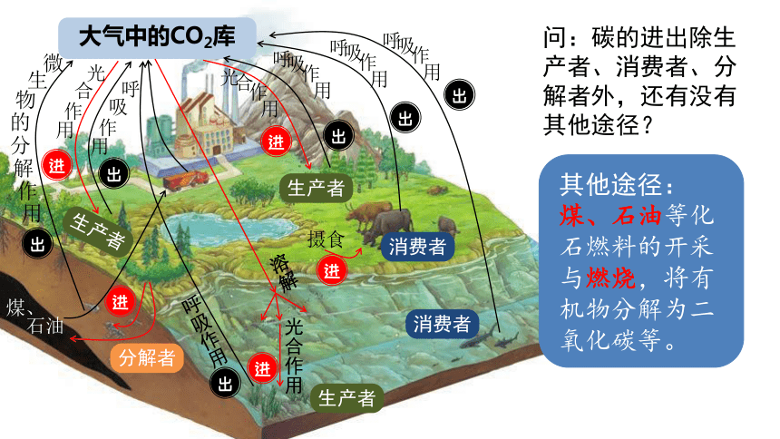 3.3生态系统的物质循环课件(共26张PPT)-人教版（2019）选择性必修2