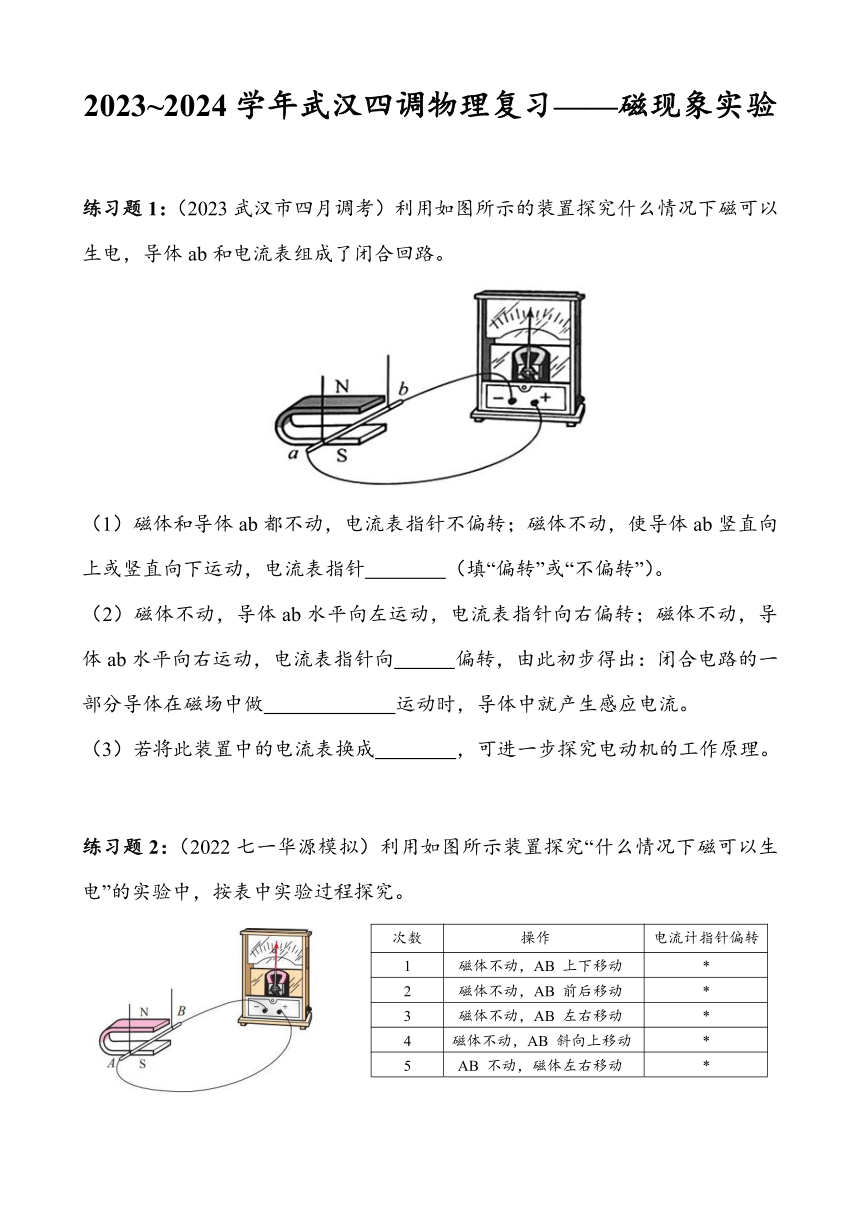 2023~2024学年湖北省武汉市四月调考物理专题复习——磁现象实验（有答案）