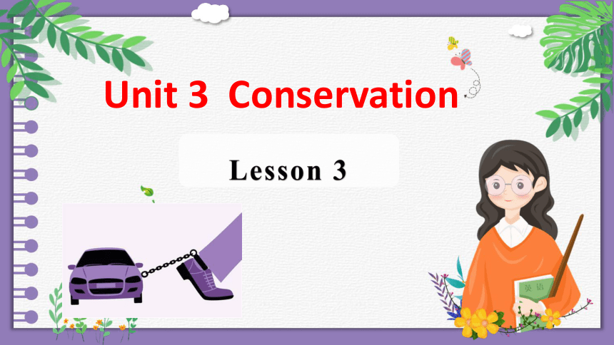 北师大版（2019）选择性必修第一册Unit 3 Conservation Lesson 3 The Road To Destruction 课件（17张）