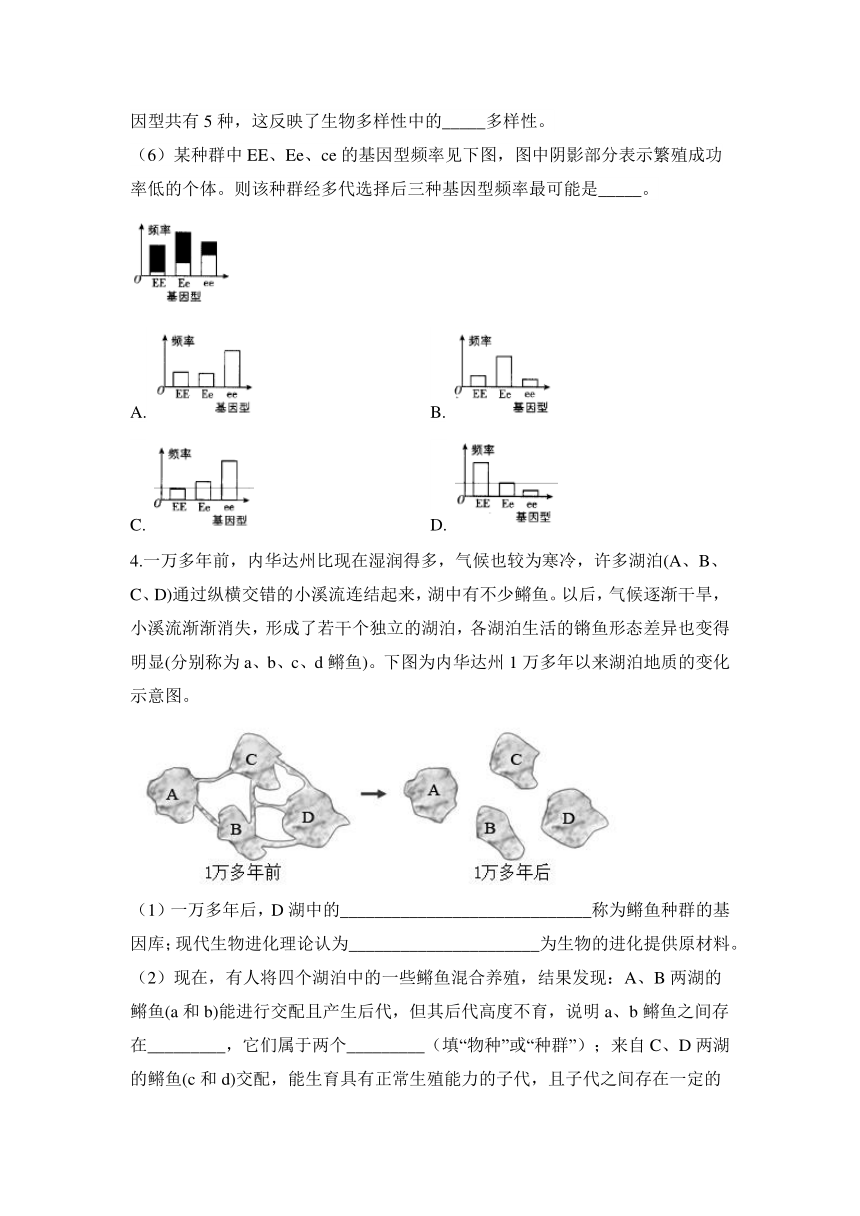 2024届高考生物二轮复习遗传与进化大题集训(6)-生物的进化（含解析）