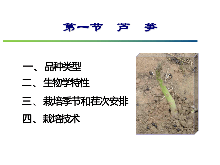 14.1 芦　笋 课件(共35张PPT)- 《蔬菜生产技术(南方本)》同步教学（中国农业大学出版社）