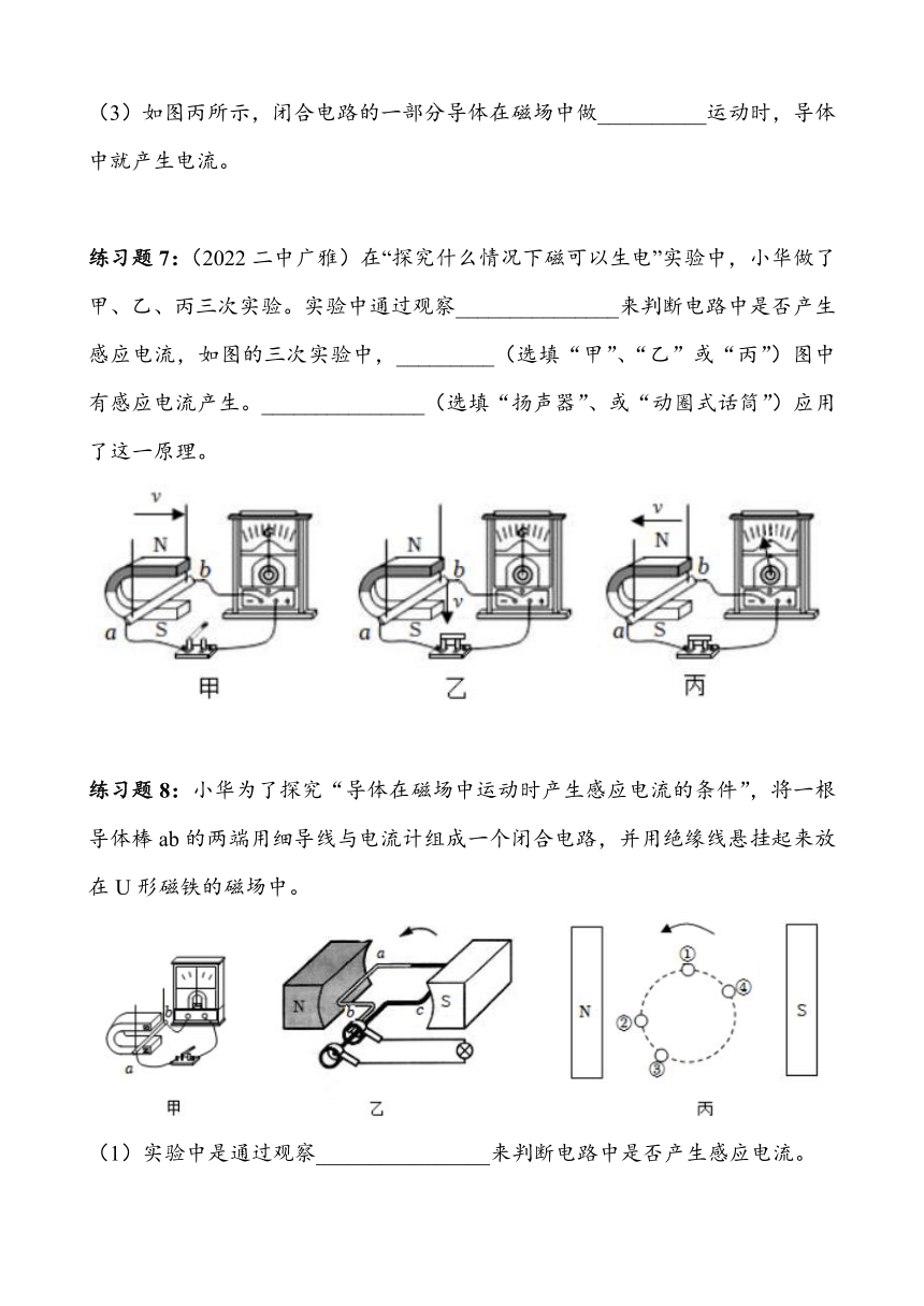 2023~2024学年湖北省武汉市四月调考物理专题复习——磁现象实验（有答案）