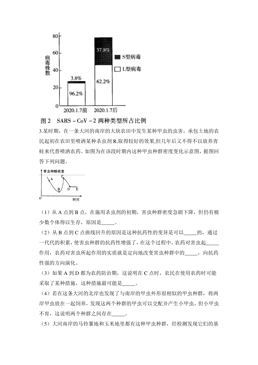 2024届高考生物二轮复习遗传与进化大题集训(6)-生物的进化（含解析）