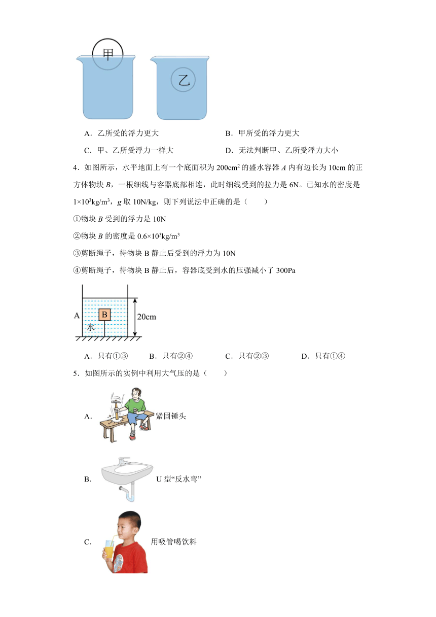 10.3物体的浮沉条件及应用同步练习（含答案）人教版物理八年级下册