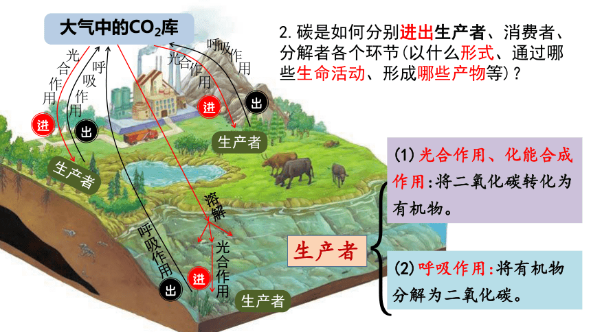 3.3生态系统的物质循环课件(共26张PPT)-人教版（2019）选择性必修2