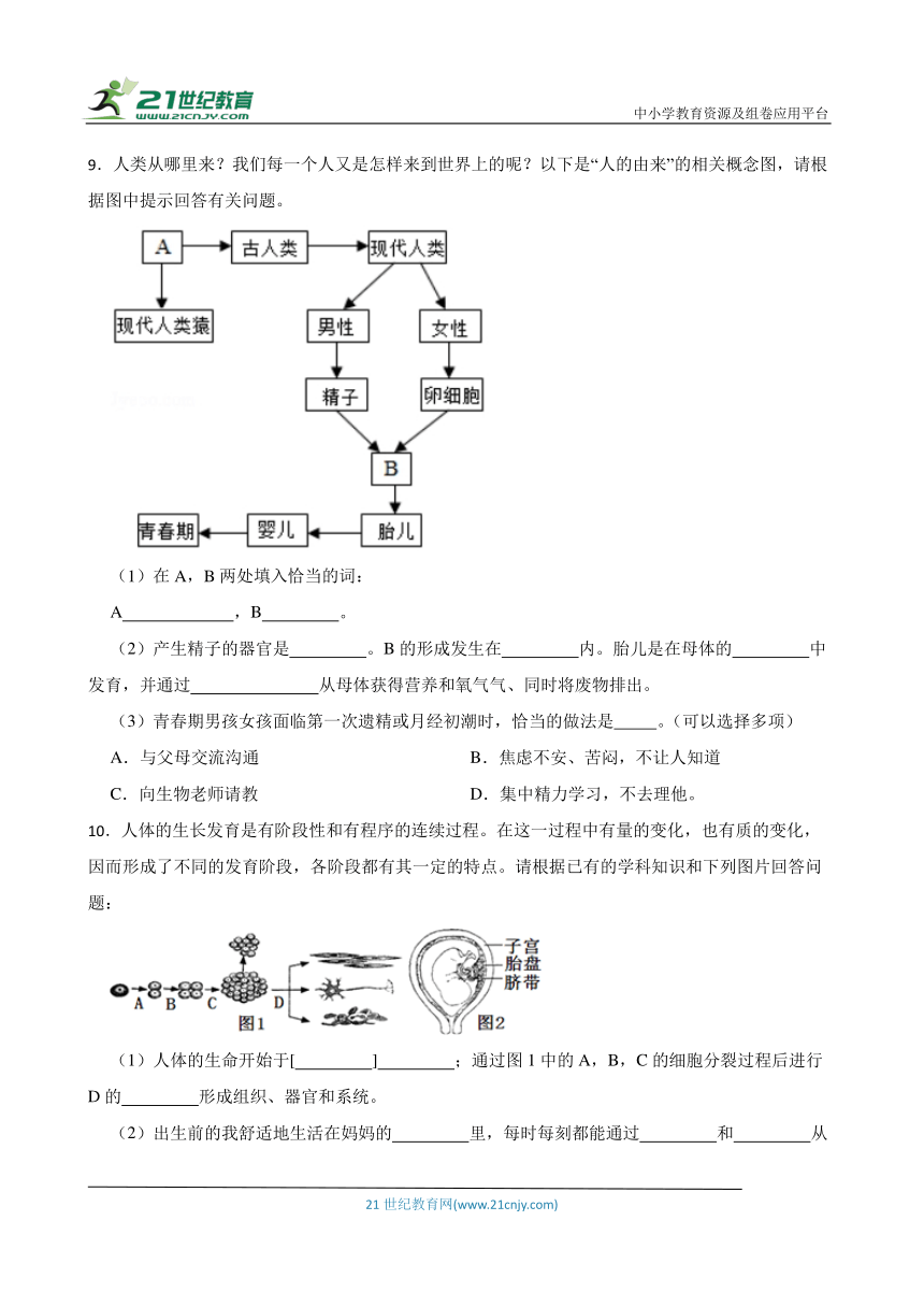 2024年中考生物读图理解专题复习：人的生殖与发育（含答案）