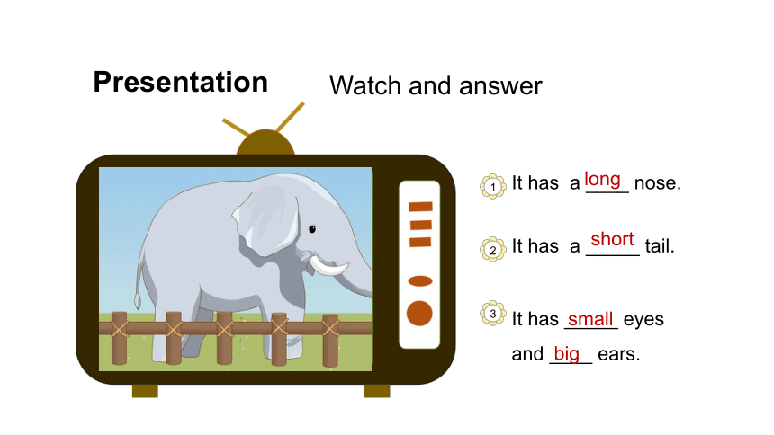 Unit 3 At the zoo Part B Let’s talk 课件(共30张PPT)