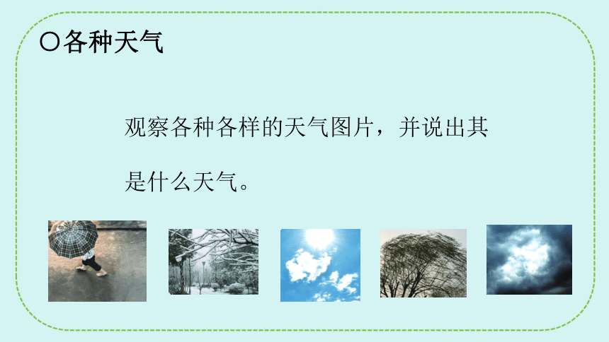 青岛版（六三制2017秋）科学 二年级下册 3.7多样的天气 课件(共28张PPT)