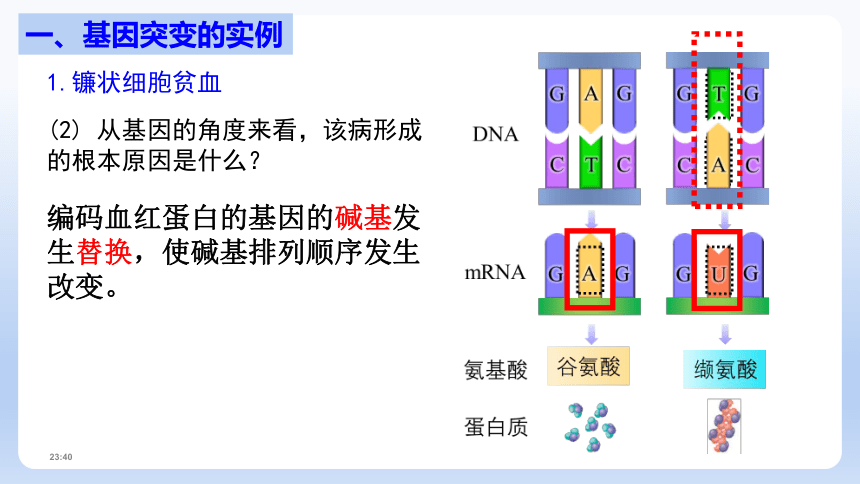 5.1基因突变与基因重组课件（共33张PPT）-人教版（2019）必修2