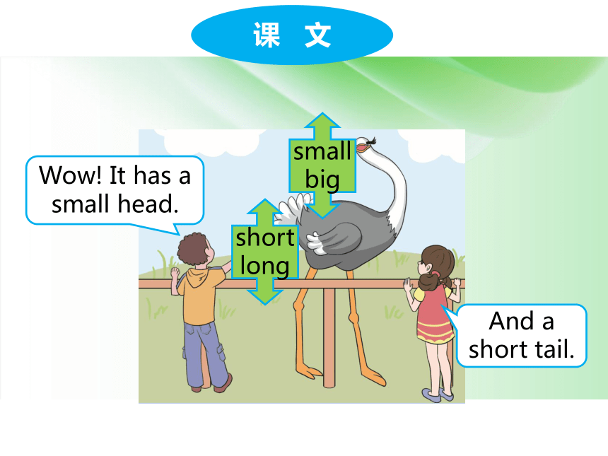 Unit 3 At the zoo Part B 课件(共43张PPT)