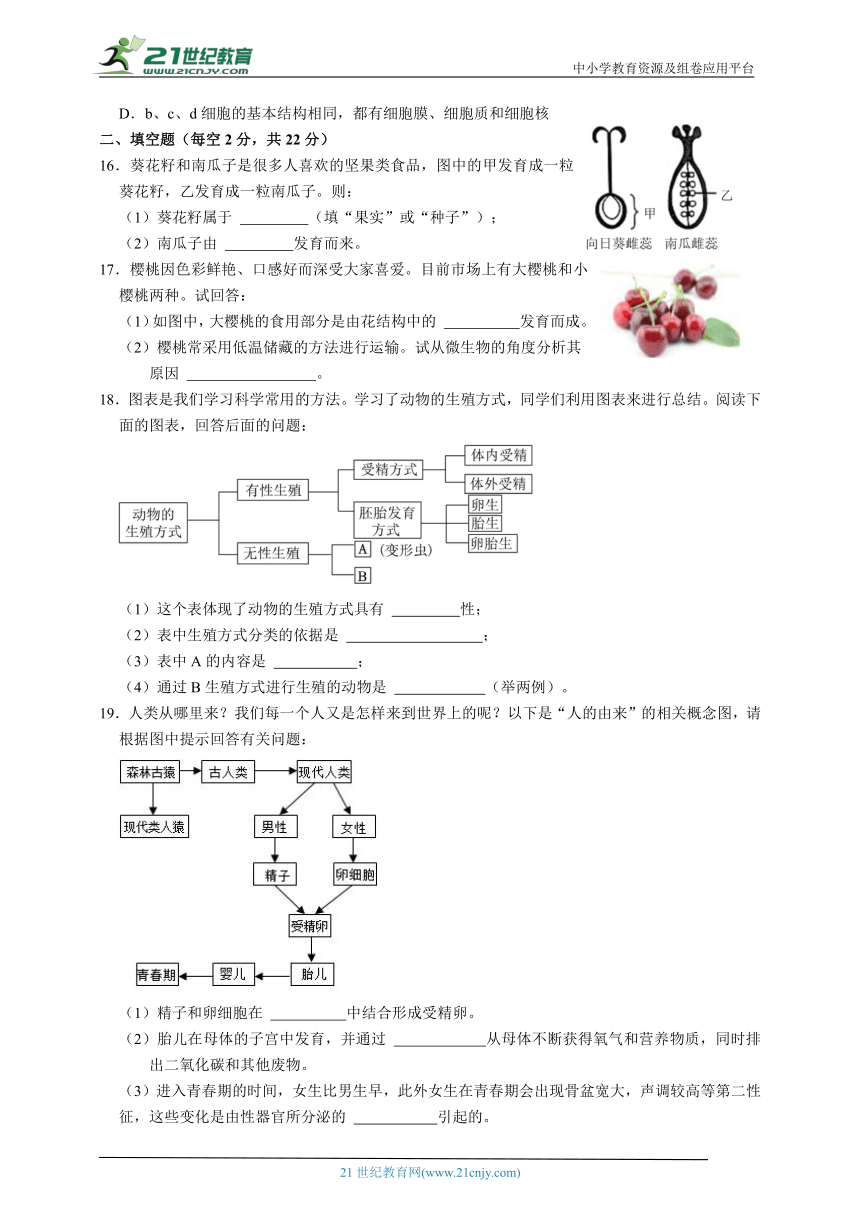 浙教版科学 七下 第1章代代相传的生命单元测试（五）（含答案）