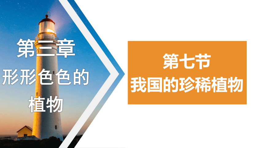 1.3.7我国的珍稀植物 课件(共27张PPT）-2023-2024学年冀少版生物七年级上册