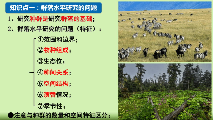 2.1群落的结构课件（共28张PPT）人教版选择性必修一