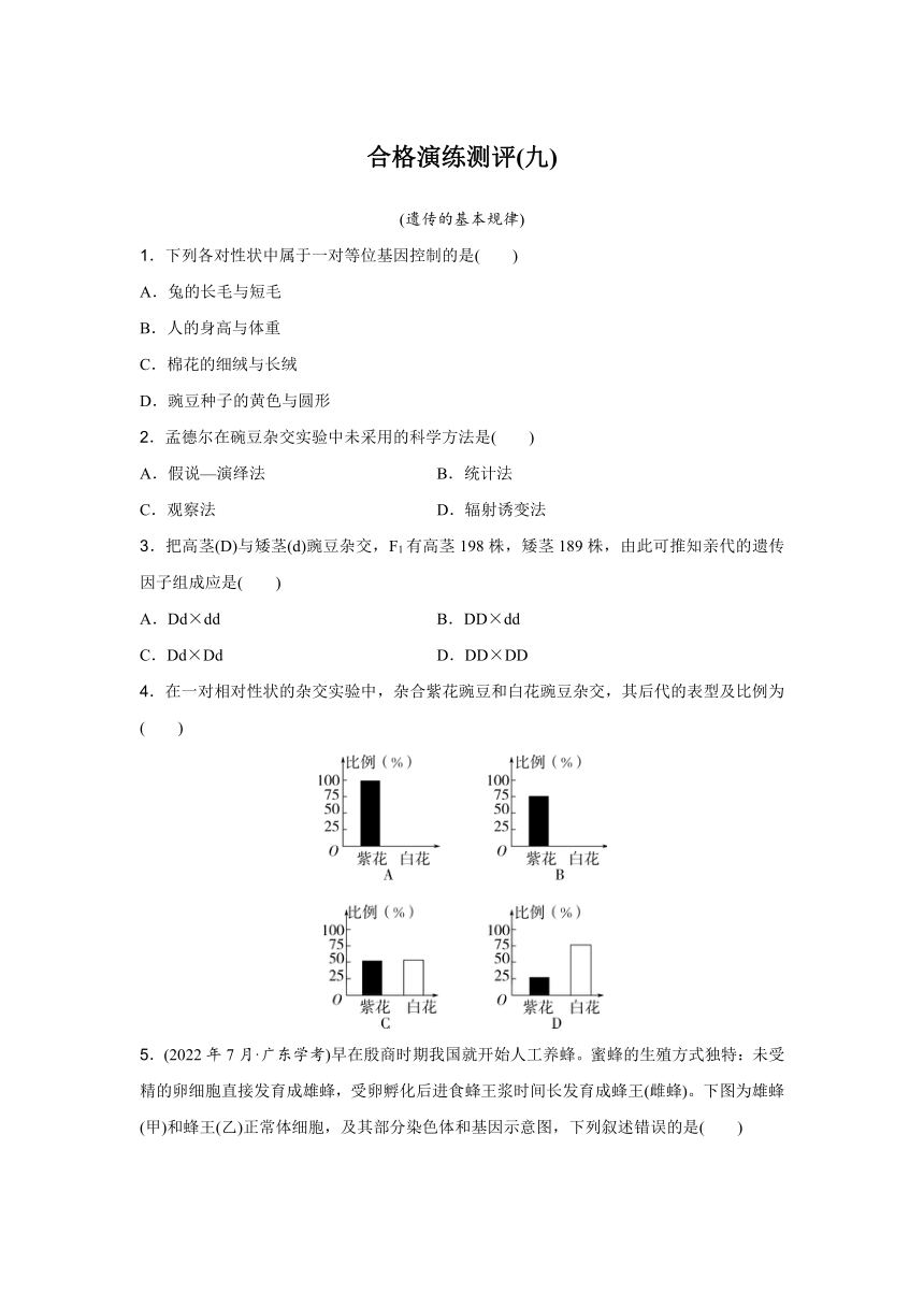 2024年广东普通高中生物学业水平合格性考试合格演练测评(九)含答案
