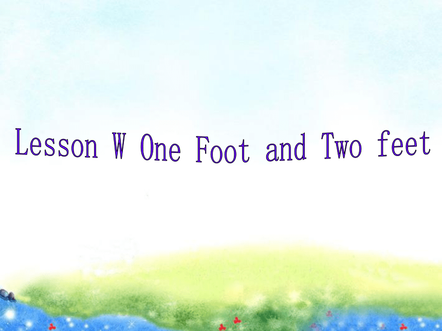 Lesson W One Foot and Two Year! 课件