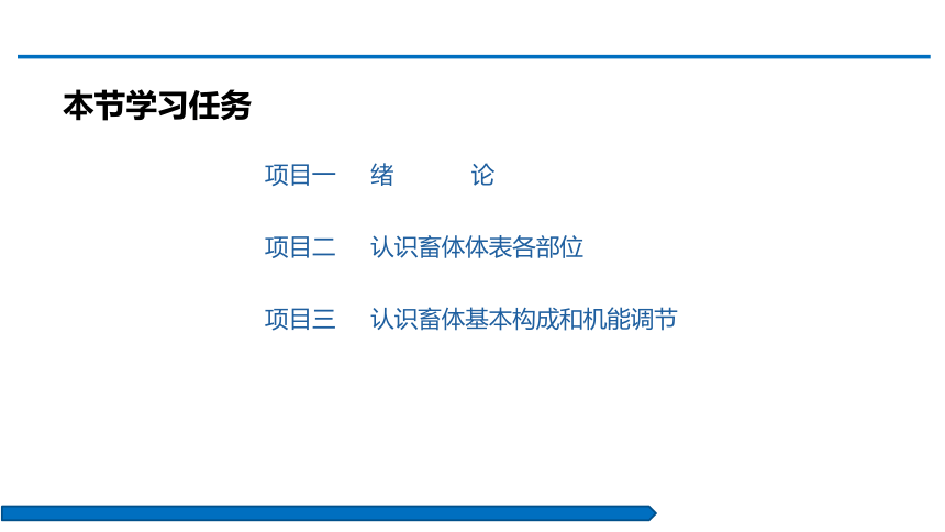 项目一    绪论 课件(共27张PPT)-《动物解剖生理》同步教学（中国农业出版社）