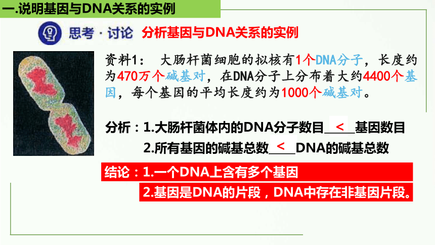 3.4基因通常是有遗传效应的DNA片段-(共38张PPT)课件人教版2019必修2