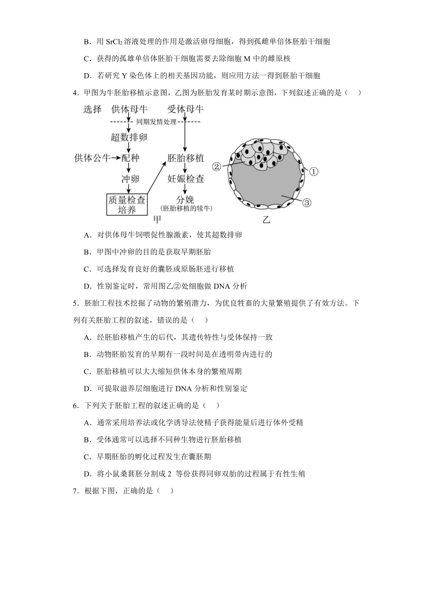 2.4胚胎工程及其应用 练习2023-2024学年高二下学期生物苏教版（2019）选择性必修3（解析版）