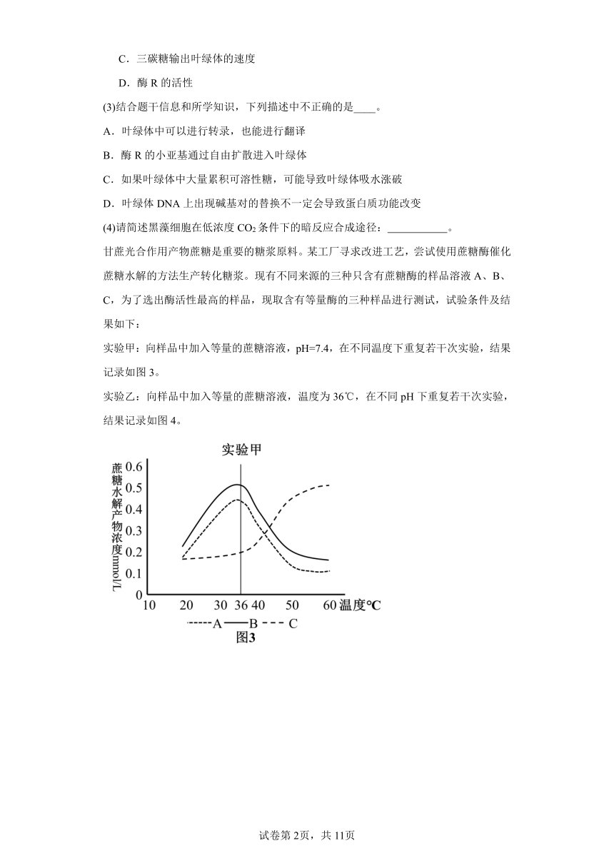 2024届上海市普陀区高三下学期二模生物试题（含解析）