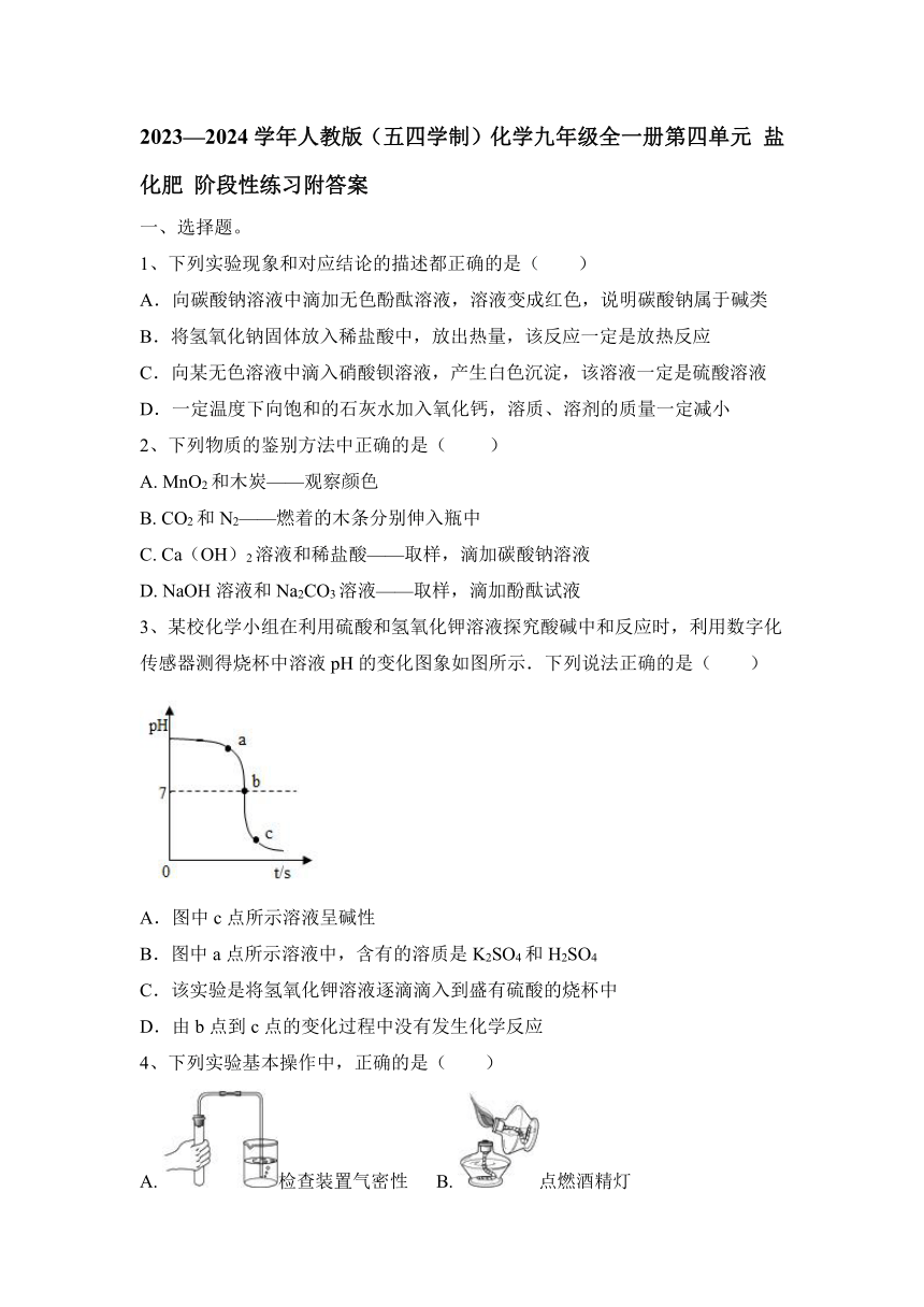 2023—2024学年人教版（五四学制）化学九年级全一册第四单元 盐 化肥 阶段性练习(含答案)