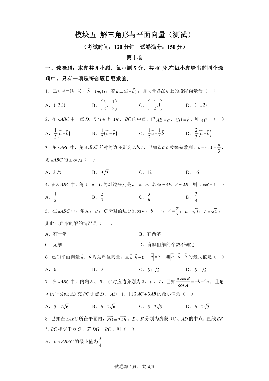 模块五解三角形与平面向量 测试练习（含解析） 2024年高考数学二轮复习讲练（新教材新高考）