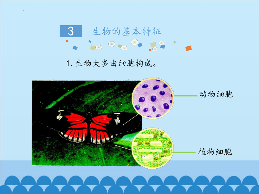 1.1.1生物与生物学课件(共31张PPT) 苏科版生物七年级上册