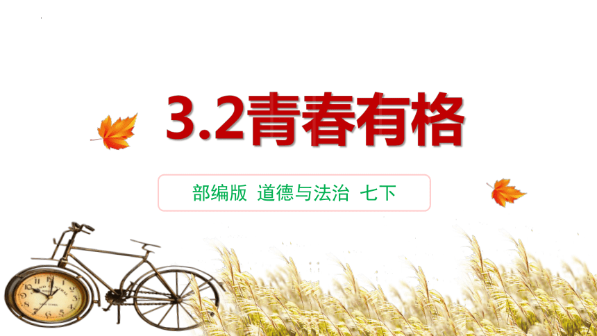 （核心素养目标）3.2 青春有格 课件(共28张PPT)-2023-2024学年统编版道德与法治七年级下册