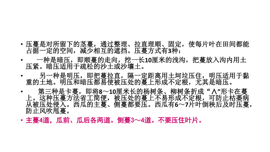 项目3.2 瓜类蔬菜生产--西瓜-3 课件(共21张PPT)- 《蔬菜生产技术》同步教学（机械工业版）