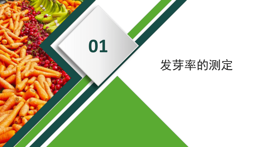 2.1.2蔬菜种子发芽率测定 课件(共41张PPT)-《蔬菜生产技术》同步教学（中国农业出版社）