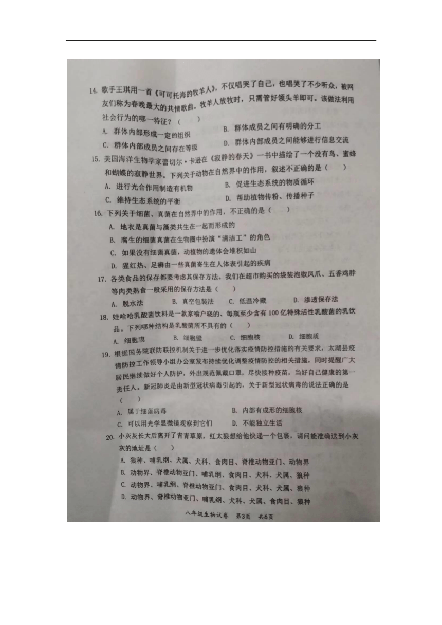 安徽省安庆市太湖县2023-2024学年上学期期末教学质量监测八年级生物试题（图片版无答案）