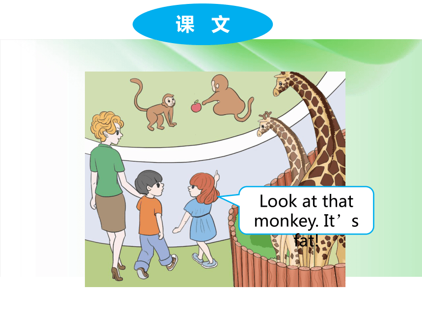 Unit 3 At the zoo Part A 课件(共35张PPT)