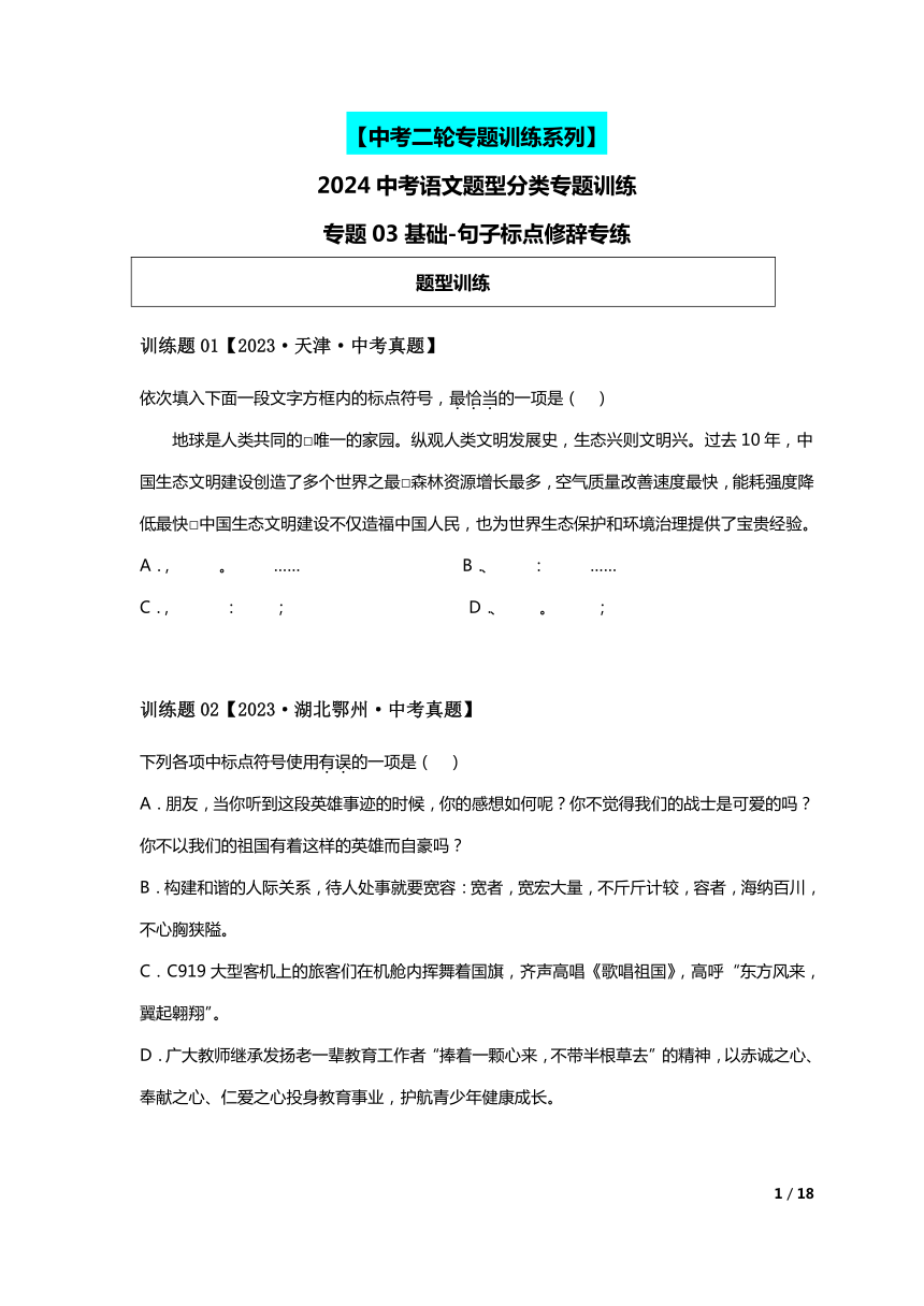 2024中考语文题型分类专练-专题03基础-句子标点修辞专练（含解析）