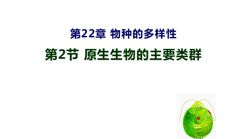 7.22.2原生生物的主要类群课件(共16张PPT)2023--2024学年北师大版生物八年级下册