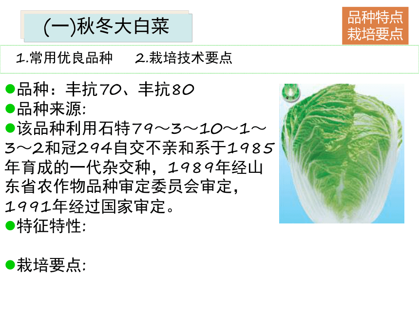 项目5.1 白菜类蔬菜生产--概述 课件(共53张PPT)- 《蔬菜生产技术》同步教学（机械工业版）