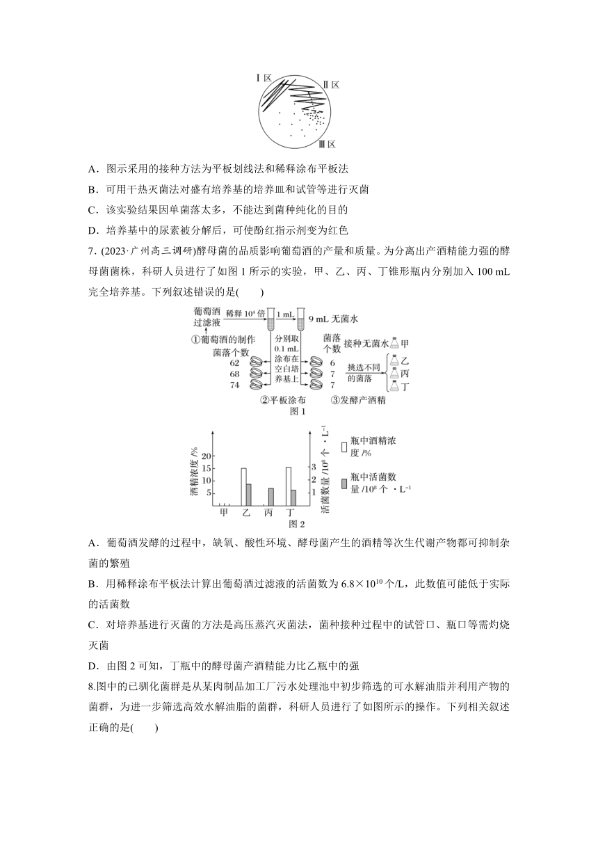 2024届高考生物突破训练之命题点17：微生物培养（含答案）