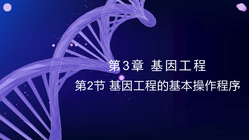 3.2基因工程的基本操作程序(共66张PPT2份视频)课件-人教版2019选择性必修3