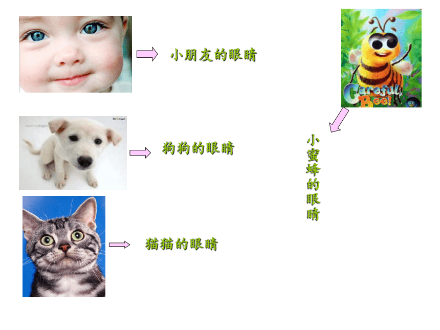 小学班会 保护眼睛保护视力 课件 (22张PPT)