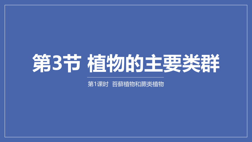 7.22.3植物的主要类群（第1课时）课件 (共16张PPT)北师大版生物八年级下册