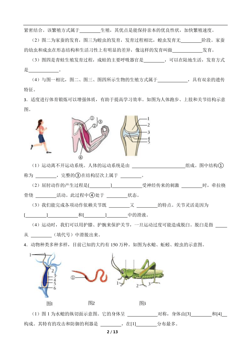 2024年中考生物专题复习 ：读图理解题（含答案）