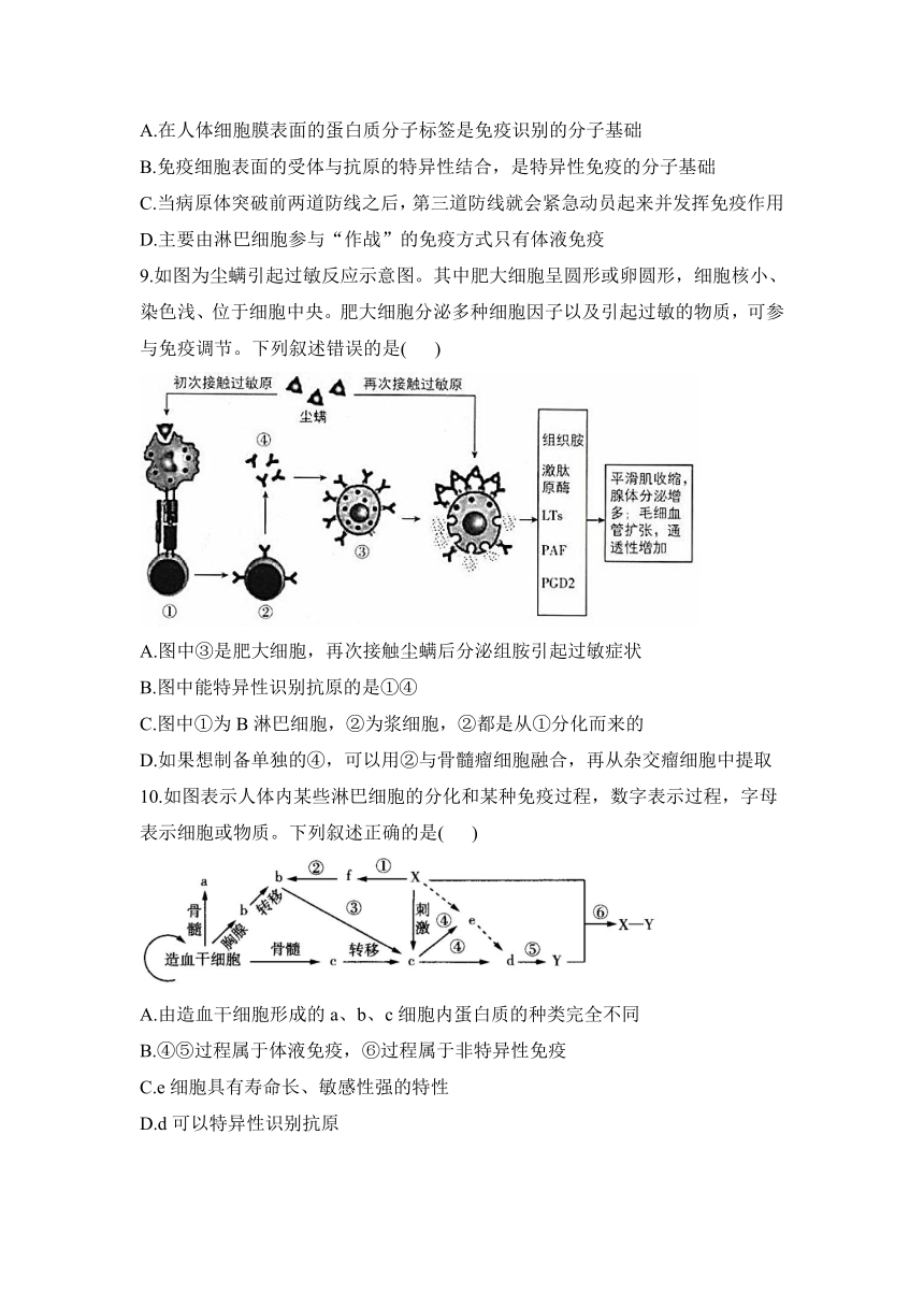 2024届高考生物考前每周拔高练【全国卷版】第一周 免疫考点集训（含解析）