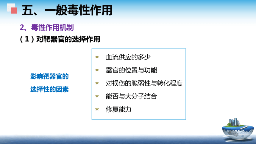 4食品安全性评价（2） 课件(共58张PPT)- 《食品安全与控制第五版》同步教学（大连理工版）