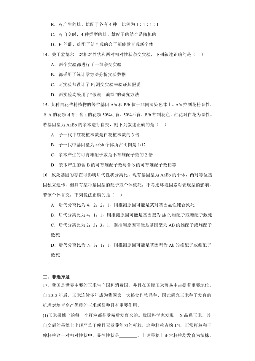 1.3自由组合定律（必刷练）-2023-2024学年高一生物（苏教版2019必修2）（含解析）