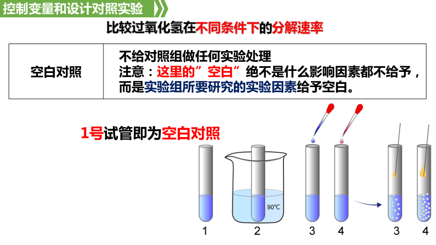 5.1降低反应活化能的酶课件(共61张PPT)-人教版（2019）必修1