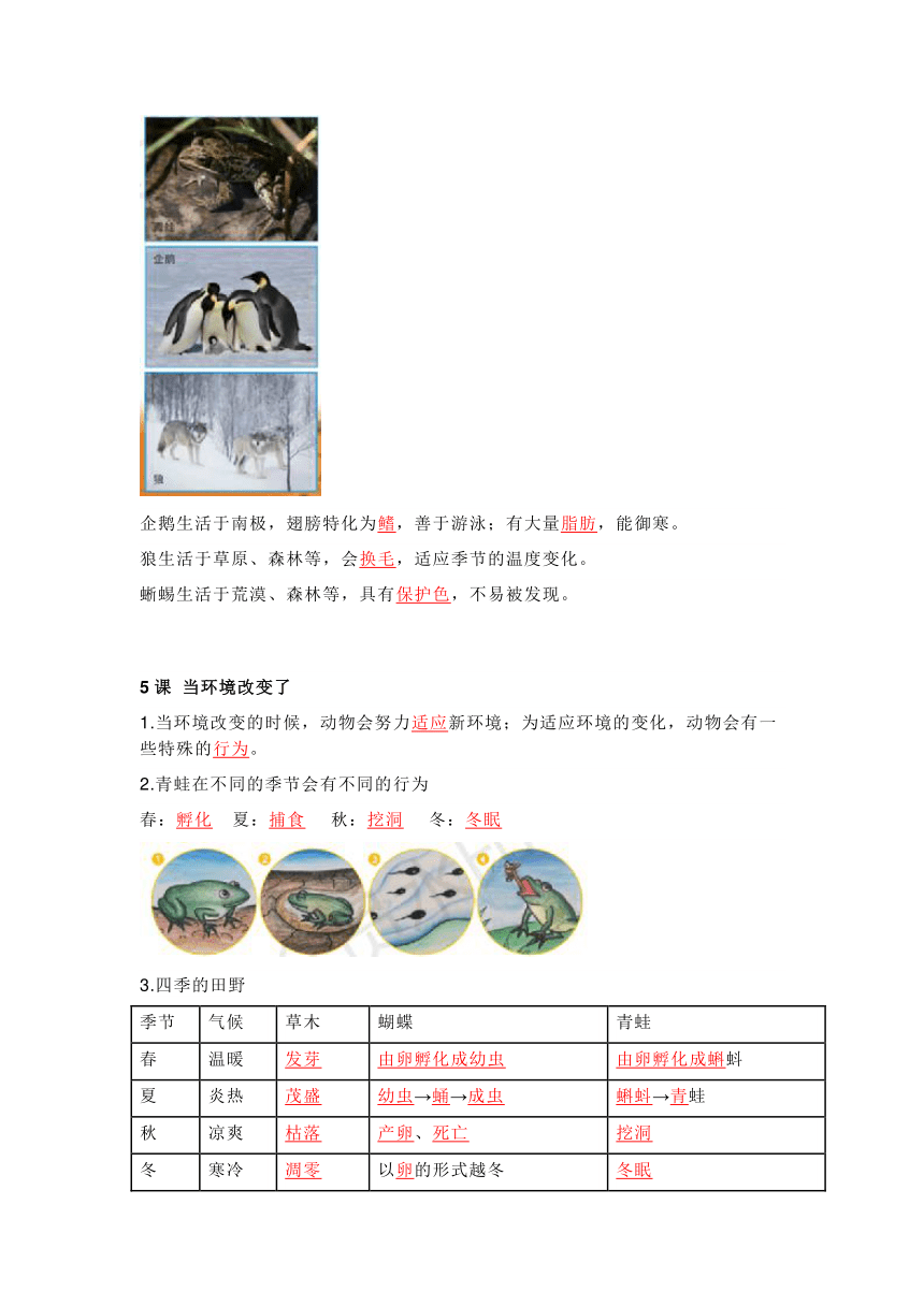 教科版科学五下知识点精编图文版