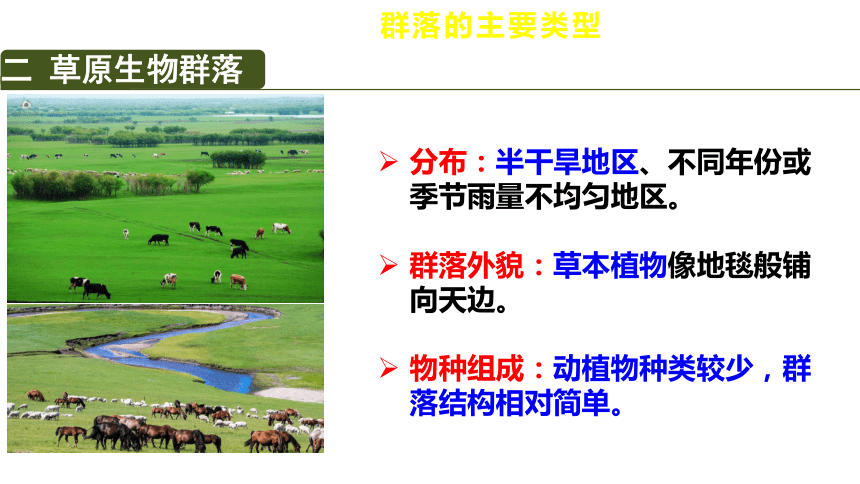2.2群落的主要类型课件(共26张PPT) 人教版选择性必修2