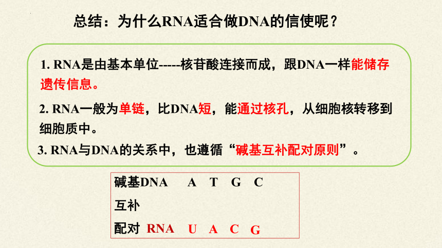 4.1基因指导蛋白质的合成课件（共46张PPT）-人教版必修2